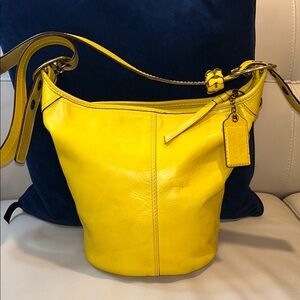 Coach Bleeker in yellow leather and Tatersal Lining